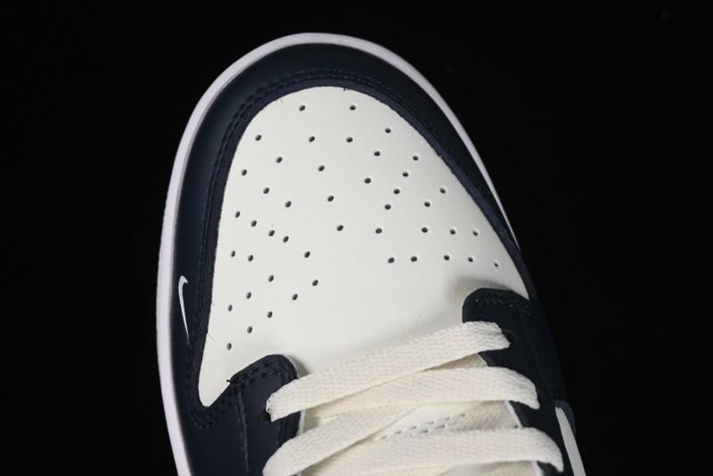Nike SB Dunk Low Casual Skate Shoes in Minimalist Blue - HV2390-100