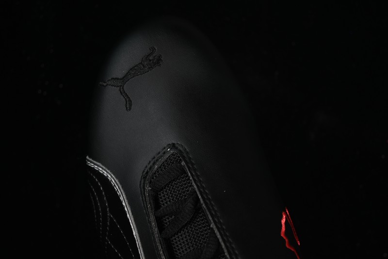 Puma Sparco Future Round Toe Lace-Up Low-Top Lifestyle Casual Shoes in Leather and Fabric - 307889-03