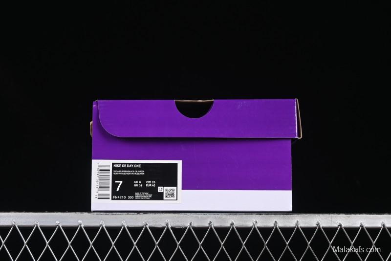 Nike SB Day One Low Top Casual Skate Shoes with Air Zoom Cushion - FN4210-300